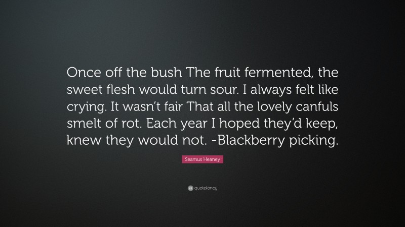 Seamus Heaney Quote: “Once off the bush The fruit fermented, the sweet flesh would turn sour. I always felt like crying. It wasn’t fair That all the lovely canfuls smelt of rot. Each year I hoped they’d keep, knew they would not. -Blackberry picking.”