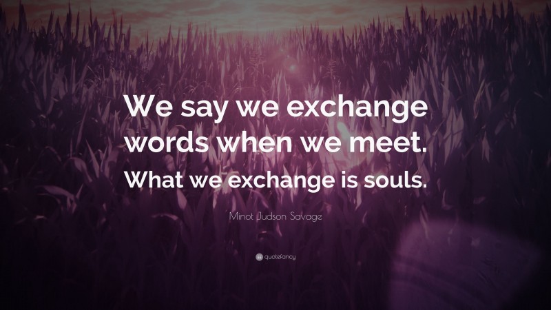 Minot Judson Savage Quote: “We say we exchange words when we meet. What we exchange is souls.”