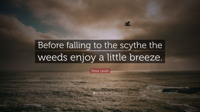 Peter Levitt Quote: “Before falling to the scythe the weeds enjoy a little breeze.”