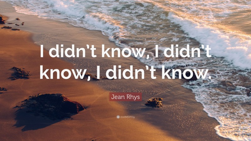Jean Rhys Quote: “I didn’t know, I didn’t know, I didn’t know.”