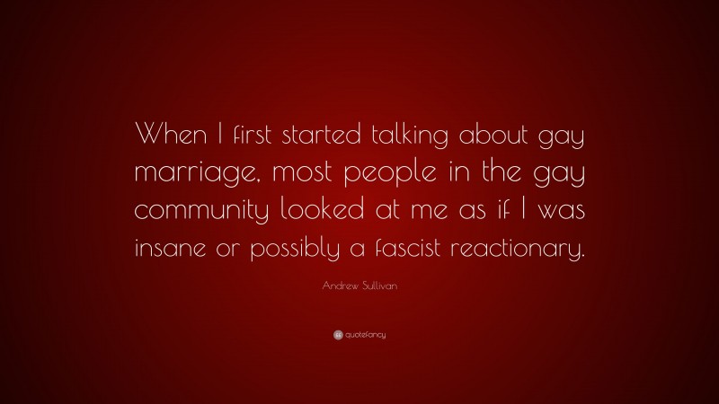 Andrew Sullivan Quote: “When I first started talking about gay marriage, most people in the gay community looked at me as if I was insane or possibly a fascist reactionary.”