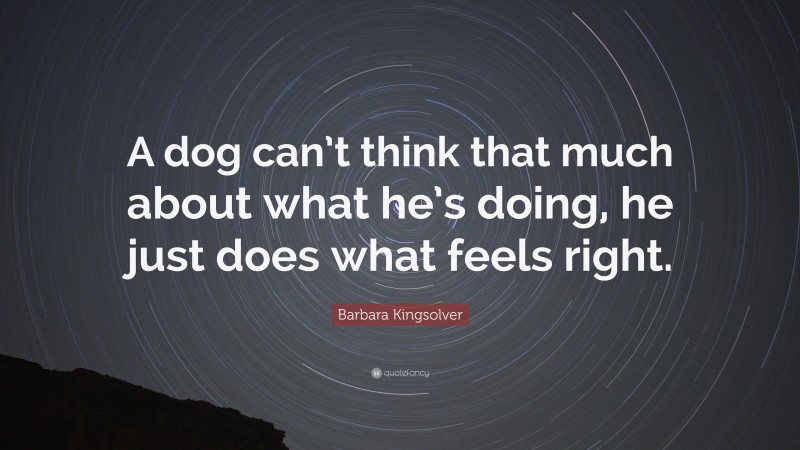 Barbara Kingsolver Quote: “A dog can’t think that much about what he’s doing, he just does what feels right.”