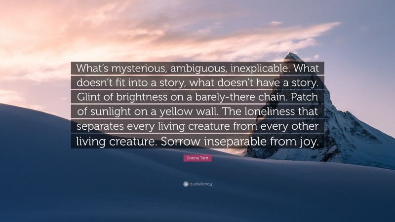 Donna Tartt Quote: “What’s mysterious, ambiguous, inexplicable. What doesn’t fit into a story, what doesn’t have a story. Glint of brightness on a barely-there chain. Patch of sunlight on a yellow wall. The loneliness that separates every living creature from every other living creature. Sorrow inseparable from joy.”