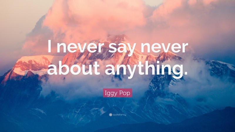 Iggy Pop Quote: “I never say never about anything.”
