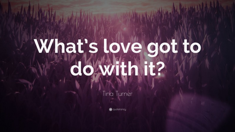 Tina Turner Quote: “What’s love got to do with it?”