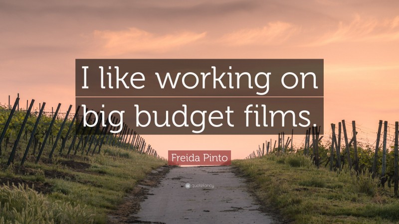 Freida Pinto Quote: “I like working on big budget films.”