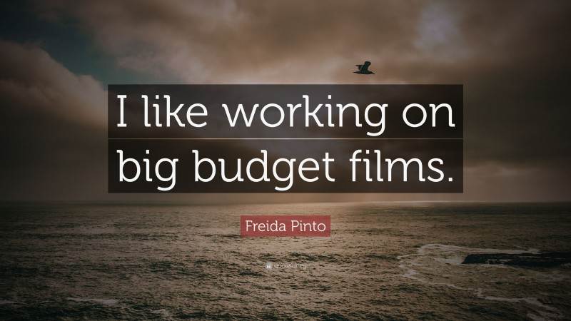 Freida Pinto Quote: “I like working on big budget films.”