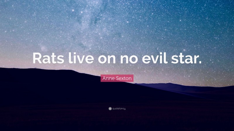 Anne Sexton Quote: “Rats live on no evil star.”
