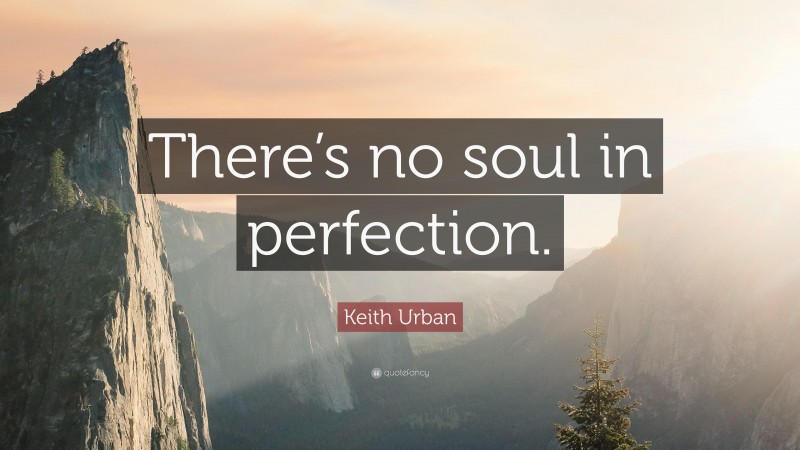 Keith Urban Quote: “There’s no soul in perfection.”