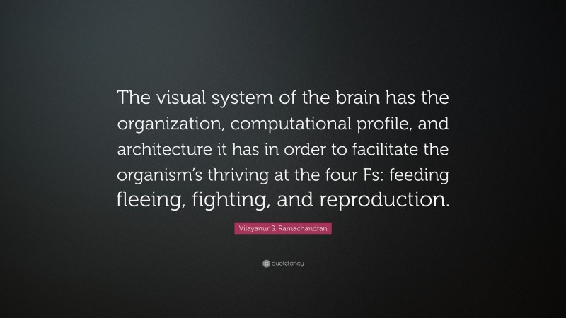 Vilayanur S. Ramachandran Quote: “The visual system of the brain has the organization, computational profile, and architecture it has in order to facilitate the organism’s thriving at the four Fs: feeding fleeing, fighting, and reproduction.”
