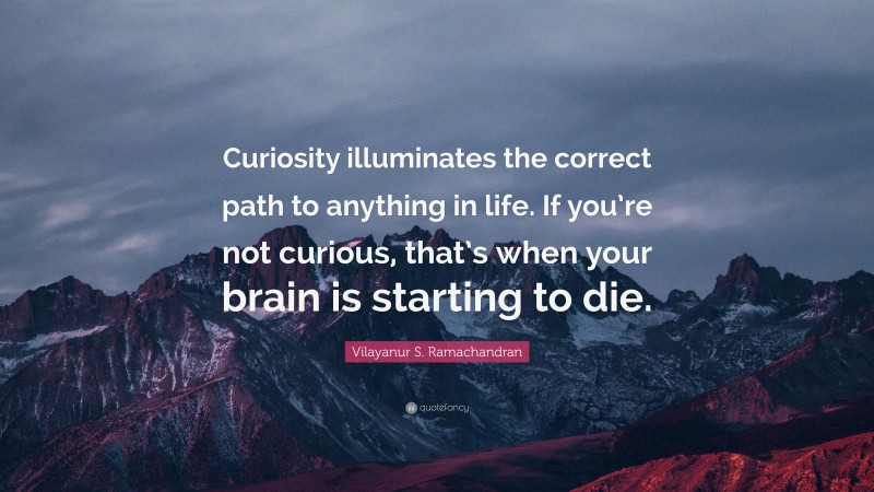 Vilayanur S. Ramachandran Quote: “Curiosity illuminates the correct path to anything in life. If you’re not curious, that’s when your brain is starting to die.”