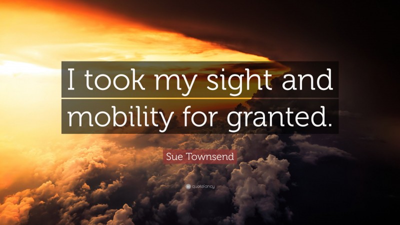 Sue Townsend Quote: “I took my sight and mobility for granted.”