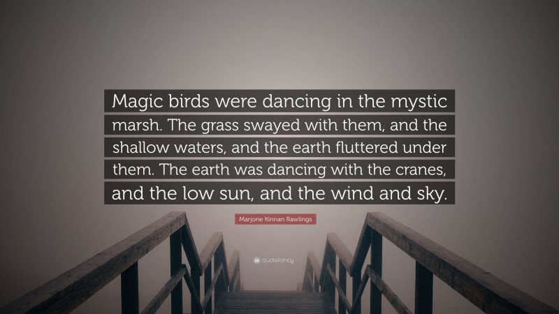 Marjorie Kinnan Rawlings Quote: “Magic birds were dancing in the mystic marsh. The grass swayed with them, and the shallow waters, and the earth fluttered under them. The earth was dancing with the cranes, and the low sun, and the wind and sky.”