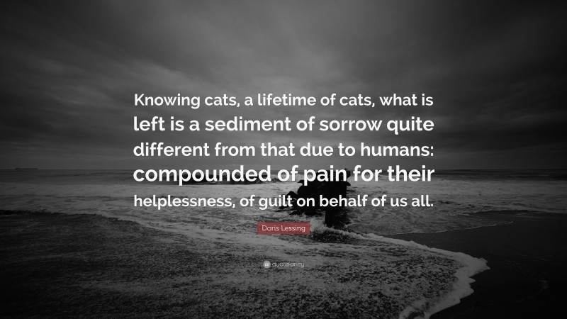 Doris Lessing Quote: “Knowing cats, a lifetime of cats, what is left is a sediment of sorrow quite different from that due to humans: compounded of pain for their helplessness, of guilt on behalf of us all.”