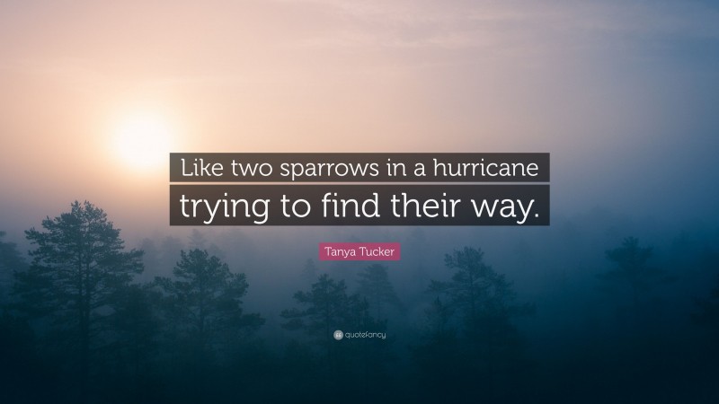 Tanya Tucker Quote: “Like two sparrows in a hurricane trying to find their way.”