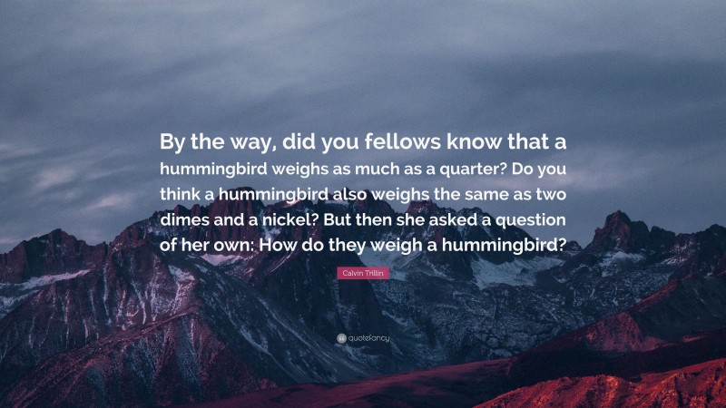 Calvin Trillin Quote: “By the way, did you fellows know that a hummingbird weighs as much as a quarter? Do you think a hummingbird also weighs the same as two dimes and a nickel? But then she asked a question of her own: How do they weigh a hummingbird?”