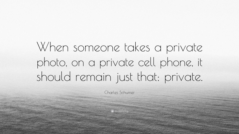 Charles Schumer Quote: “When someone takes a private photo, on a private cell phone, it should remain just that: private.”