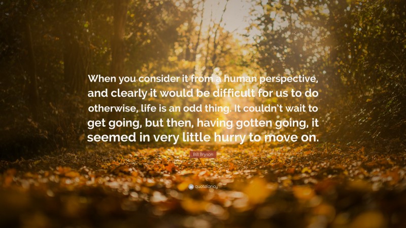Bill Bryson Quote: “When you consider it from a human perspective, and clearly it would be difficult for us to do otherwise, life is an odd thing. It couldn’t wait to get going, but then, having gotten going, it seemed in very little hurry to move on.”