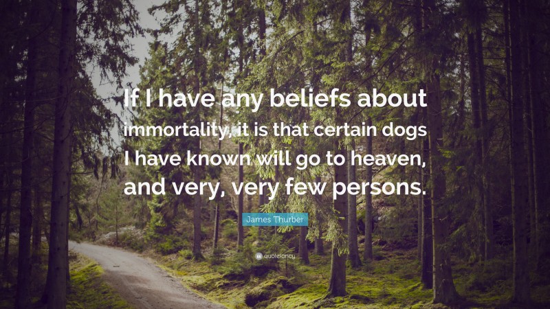 James Thurber Quote: “If I have any beliefs about immortality, it is that certain dogs I have known will go to heaven, and very, very few persons.”