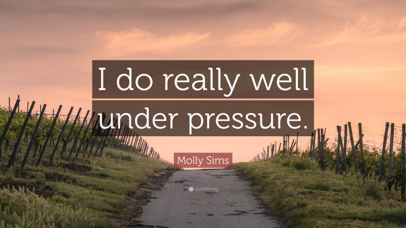 Molly Sims Quote: “I do really well under pressure.”