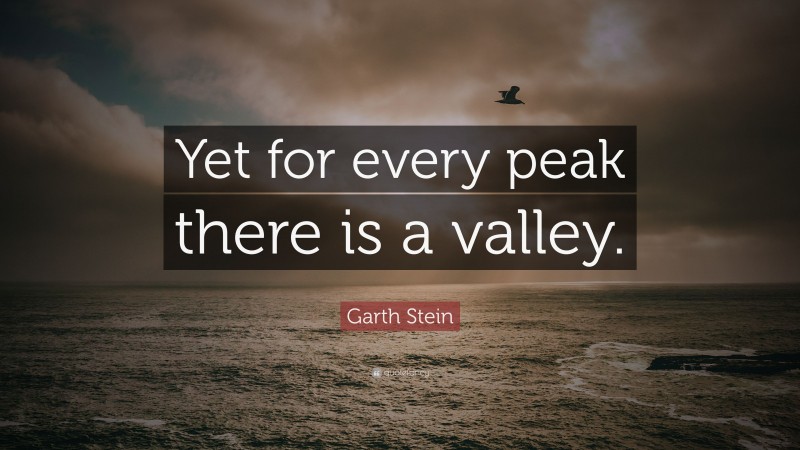 Garth Stein Quote: “Yet for every peak there is a valley.”