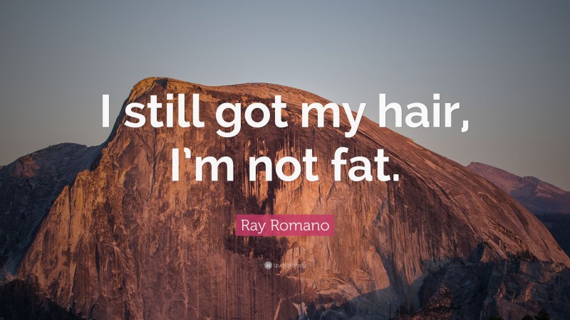Ray Romano Quote: “I still got my hair, I’m not fat.”