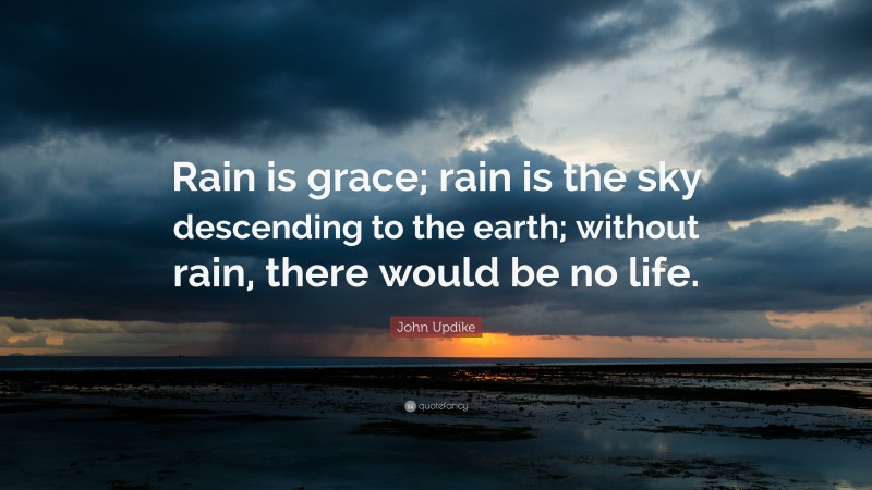 John Updike Quote: “Rain is grace; rain is the sky descending to the earth; without rain, there would be no life.”