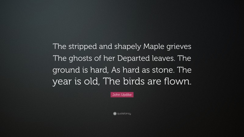 John Updike Quote: “The stripped and shapely Maple grieves The ghosts of her Departed leaves. The ground is hard, As hard as stone. The year is old, The birds are flown.”