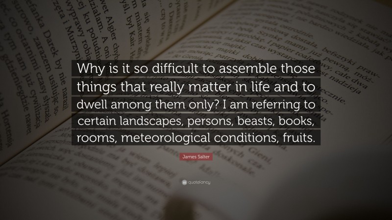 James Salter Quote: “Why is it so difficult to assemble those things that really matter in life and to dwell among them only? I am referring to certain landscapes, persons, beasts, books, rooms, meteorological conditions, fruits.”