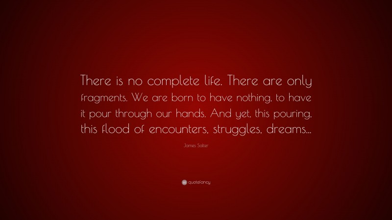James Salter Quote: “There is no complete life. There are only fragments. We are born to have nothing, to have it pour through our hands. And yet, this pouring, this flood of encounters, struggles, dreams...”