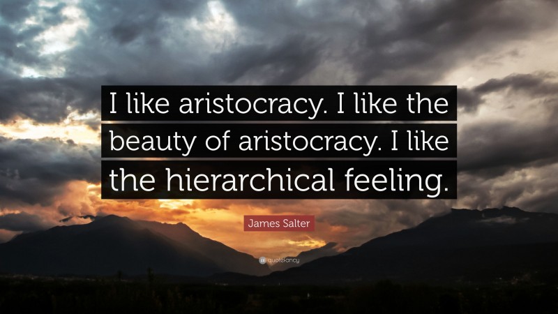 James Salter Quote: “I like aristocracy. I like the beauty of aristocracy. I like the hierarchical feeling.”