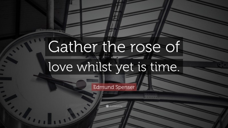 Edmund Spenser Quote: “Gather the rose of love whilst yet is time.”