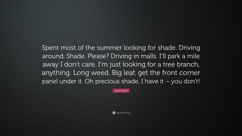 David Spade Quote: “Spent most of the summer looking for shade. Driving around. Shade. Please? Driving in malls. I’ll park a mile away I don’t care. I’m just looking for a tree branch, anything. Long weed. Big leaf, get the front corner panel under it. Oh precious shade, I have it – you don’t!”