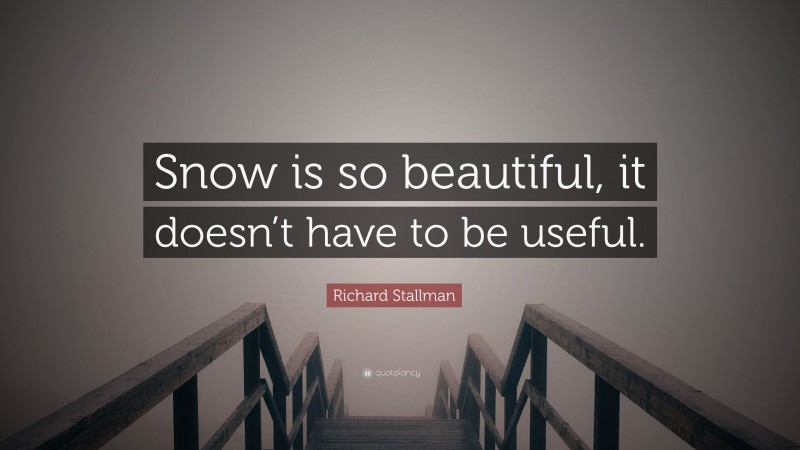 Richard Stallman Quote: “Snow is so beautiful, it doesn’t have to be useful.”