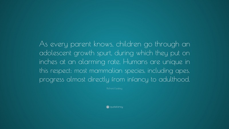 Richard Leakey Quote: “As every parent knows, children go through an adolescent growth spurt, during which they put on inches at an alarming rate. Humans are unique in this respect: most mammalian species, including apes, progress almost directly from infancy to adulthood.”