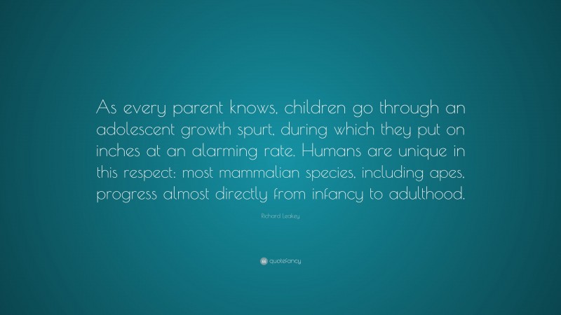 Richard Leakey Quote: “As every parent knows, children go through an adolescent growth spurt, during which they put on inches at an alarming rate. Humans are unique in this respect: most mammalian species, including apes, progress almost directly from infancy to adulthood.”