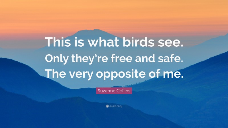 Suzanne Collins Quote: “This is what birds see. Only they’re free and safe. The very opposite of me.”