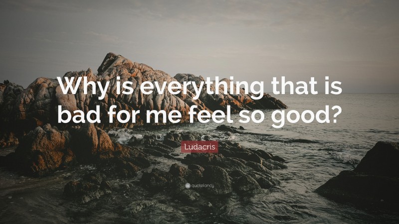 Ludacris Quote: “Why is everything that is bad for me feel so good?”