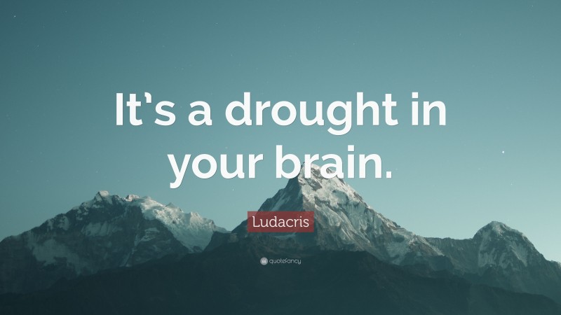 Ludacris Quote: “It’s a drought in your brain.”