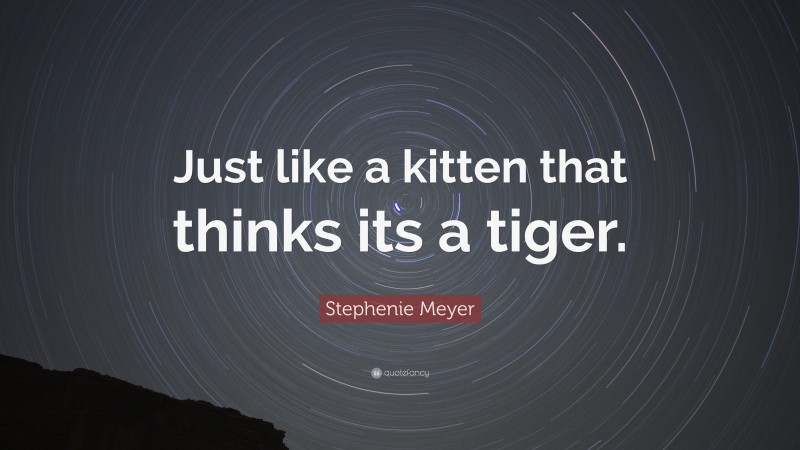 Stephenie Meyer Quote: “Just like a kitten that thinks its a tiger.”