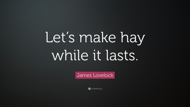James Lovelock Quote: “Let’s make hay while it lasts.”