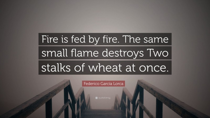 Federico García Lorca Quote: “Fire is fed by fire. The same small flame destroys Two stalks of wheat at once.”