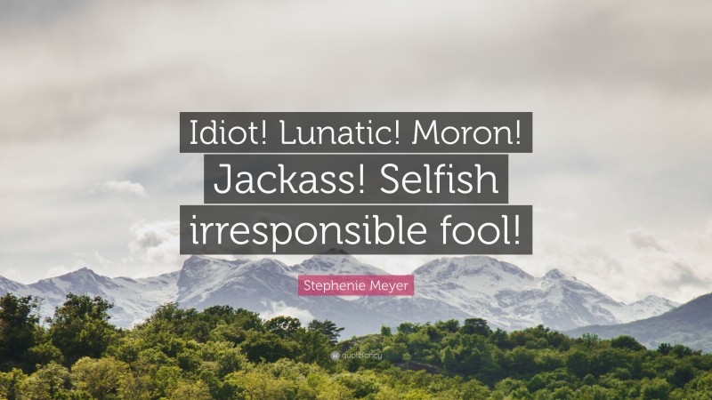 Stephenie Meyer Quote: “Idiot! Lunatic! Moron! Jackass! Selfish irresponsible fool!”
