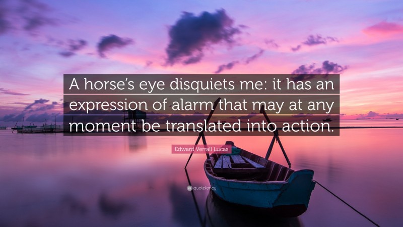Edward Verrall Lucas Quote: “A horse’s eye disquiets me: it has an expression of alarm that may at any moment be translated into action.”