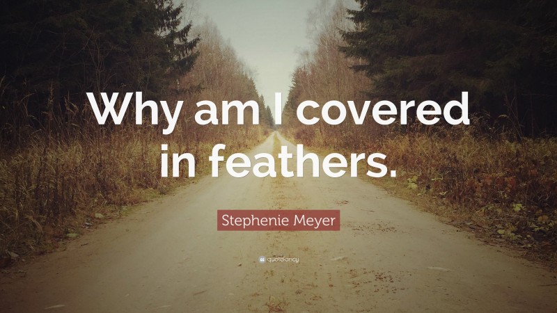 Stephenie Meyer Quote: “Why am I covered in feathers.”