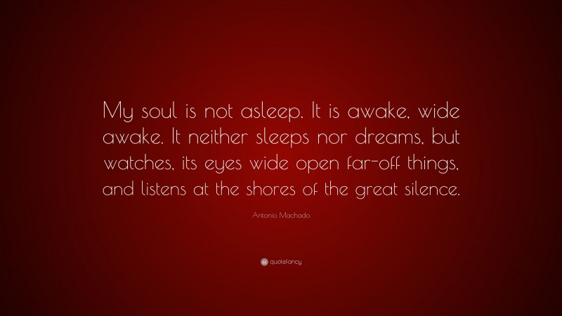 Antonio Machado Quote: “My soul is not asleep. It is awake, wide awake. It neither sleeps nor dreams, but watches, its eyes wide open far-off things, and listens at the shores of the great silence.”