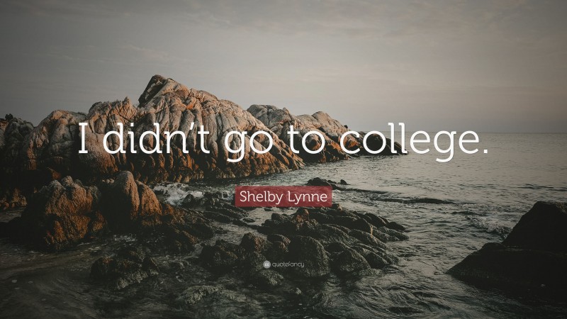 Shelby Lynne Quote: “I didn’t go to college.”