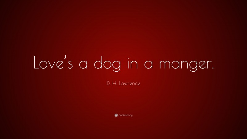 D. H. Lawrence Quote: “Love’s a dog in a manger.”