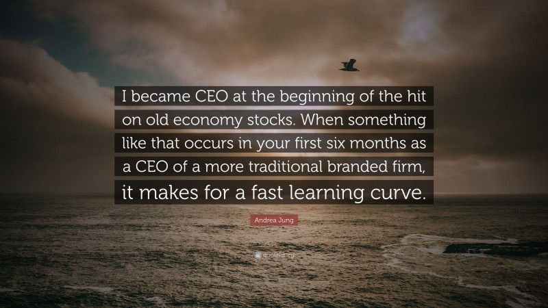 Andrea Jung Quote: “I became CEO at the beginning of the hit on old economy stocks. When something like that occurs in your first six months as a CEO of a more traditional branded firm, it makes for a fast learning curve.”