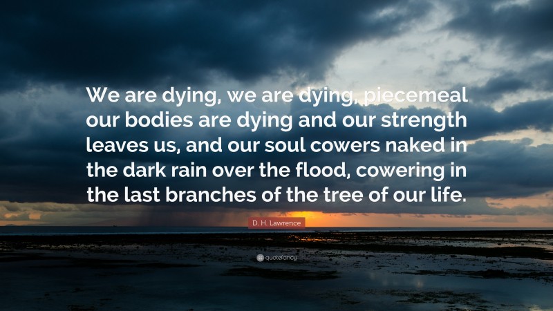 D. H. Lawrence Quote: “We are dying, we are dying, piecemeal our bodies are dying and our strength leaves us, and our soul cowers naked in the dark rain over the flood, cowering in the last branches of the tree of our life.”